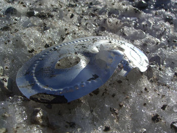 High angle view of starfish on beach