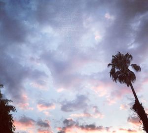 Low angle view of silhouette coconut palm trees against sky