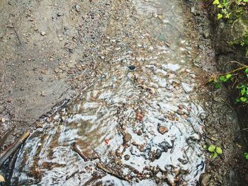 High angle view of water flowing through rocks