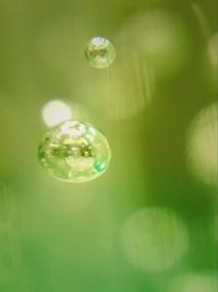 Close-up of water drops on leaf