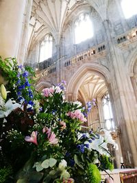 Low angle view of flowering plants by building