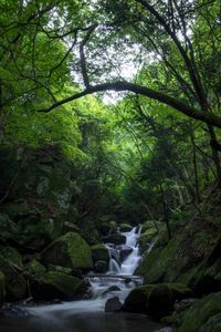 Scenic view of river flowing through rocks