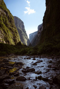 Scenic view of  river with rocks flowing through the walls of canyons covered with trees and plants