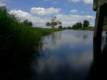 Scenic view of lake in front of trees against sky