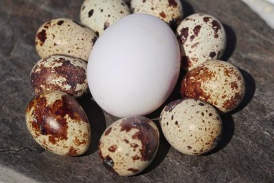 Close-up of eggs