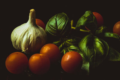 Close-up of tomatoes