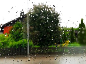 Close-up of waterdrops on glass against trees during rainy season