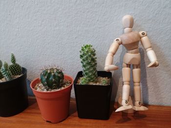 Close-up of statue and potted plants on table