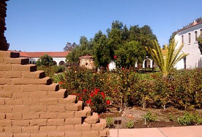 Low angle view of plants growing outside house against clear blue sky