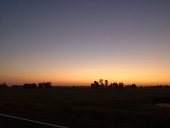 Silhouette trees on field against clear sky during sunset