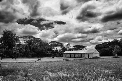 Trees and houses on field against sky