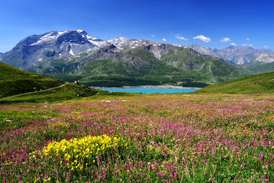 Scenic view of grassy field and mountains against sky