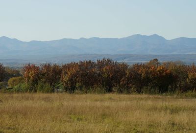 Scenic view of landscape against clear sky