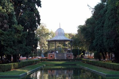 View of trees in park