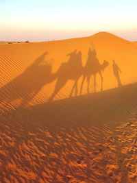 Shadow of people riding on desert