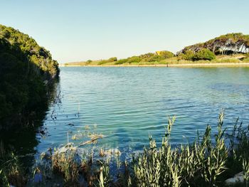 Scenic view of lake against clear sky