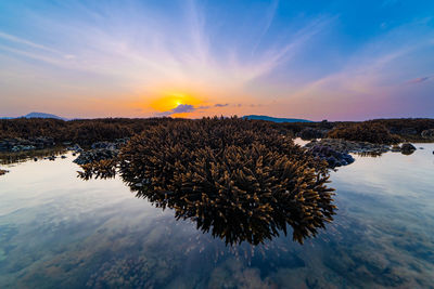 Beautiful sunset or sunrise seascape amazing cloud at sunrise light above the coral reef 