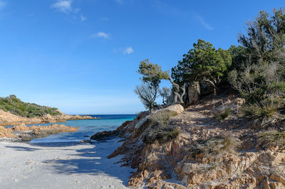 Scenic view of sea against blue sky