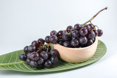 Close-up of grapes in bowl against white background