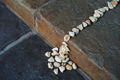 High angle view of stone wall