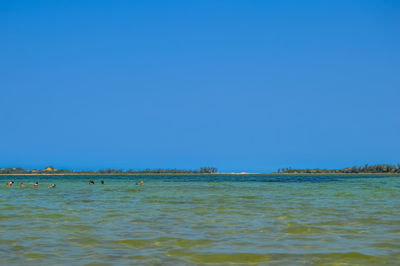 Scenic view of sea against clear blue sky