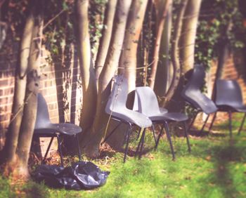 Chairs on tree trunk