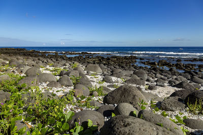 Scenic view of beach against clear blue sky