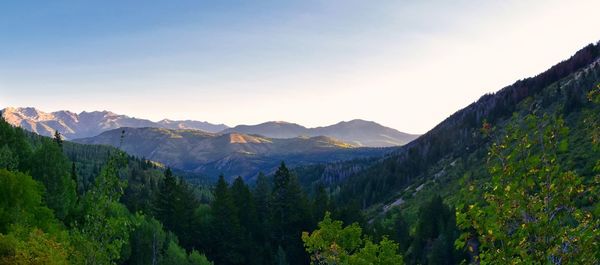 Timpanogos hiking trail landscape views in uinta wasatch cache national forest utah