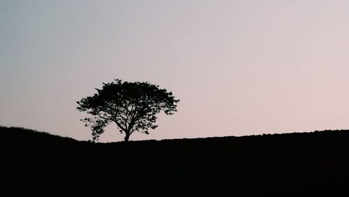 Silhouette tree on field against clear sky during sunset