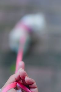 Close-up of hand holding pink blurred background