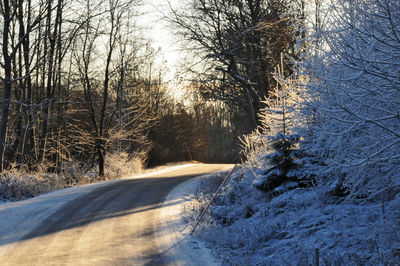 Bare trees on snow covered landscape