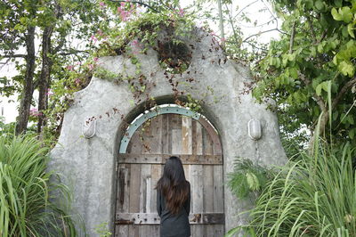 Rear view of woman standing by tree against plants