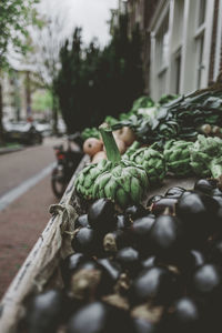 Close-up of fruits on street in city