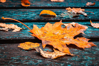 Close-up of autumn leaves on table