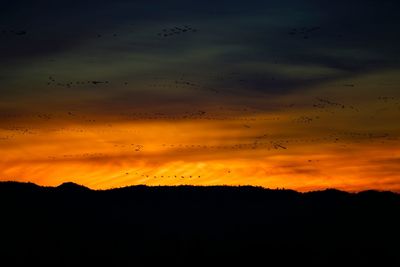 Scenic view of landscape at sunset