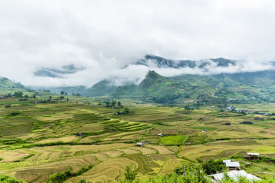 Scenic view of landscape against sky