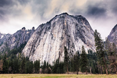 Low angle view of trees on mountain against sky