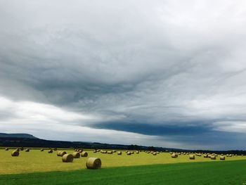 Scenic view of farm against sky