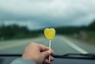 Close-up of hand holding yellow leaf
