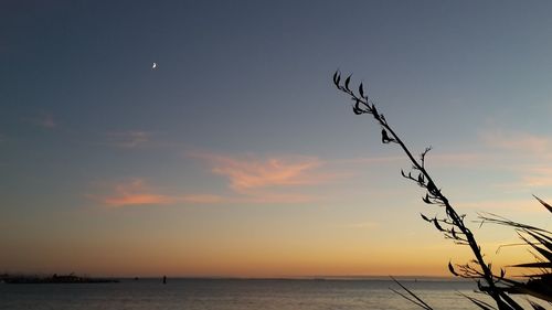 Scenic view of sea at sunset