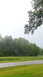 Trees on field against clear sky