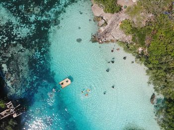 High angle view of fish swimming in sea