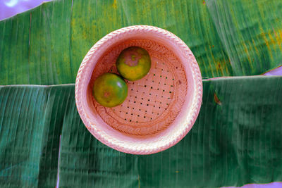 Directly above shot of fruit on table