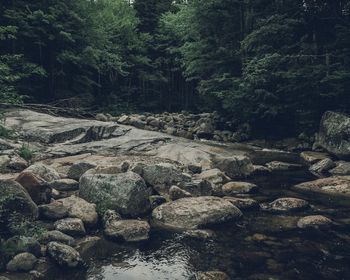 Rocks by river at white mountain national forest