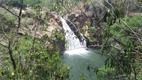 Scenic view of waterfall in forest