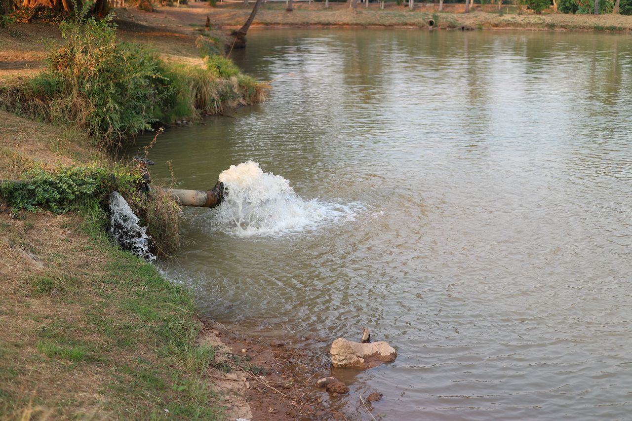 HIGH ANGLE VIEW OF RIVER FLOWING BY PLANTS