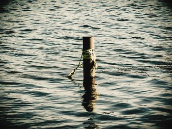 Man holding rope in sea