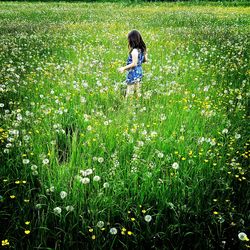 Girl standing amidst flowering field