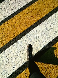 Low section of person walking on road