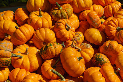 Full frame shot of pumpkins at market stall